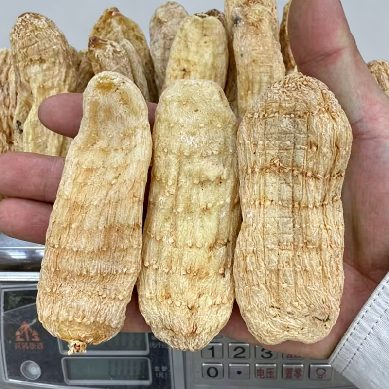 秦岭深山干天麻药效好冬麻赤箭天然晒干无硫熏不酸大天麻