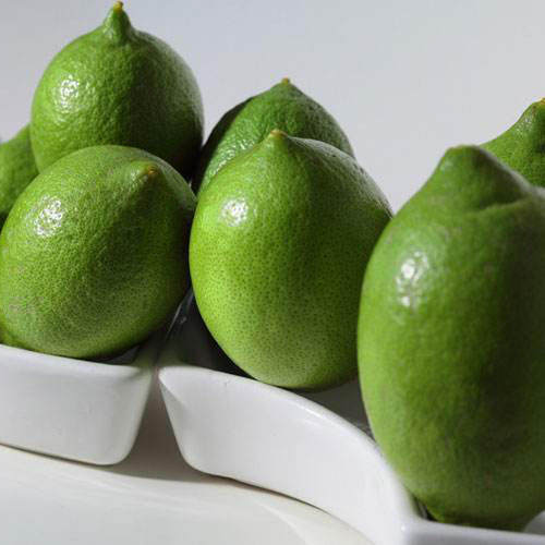 香水柠檬1斤500克新鲜水果海南三亚越南水吧奶茶店专用