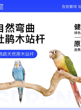 青松宠杜鹃木站杆虎皮牡丹玄凤栖木树杈天然原木站棍鸟笼秋千装饰