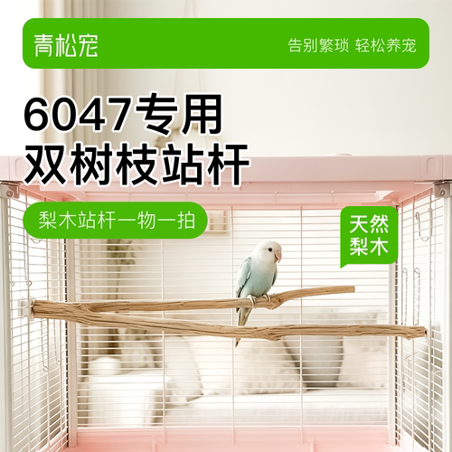 青松宠鹦鹉花梨木站杆