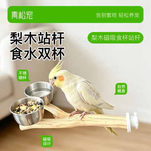 青松宠鹦鹉梨木磁吸食杯304不锈钢食盒手工天然木站杆喂食喂水杯
