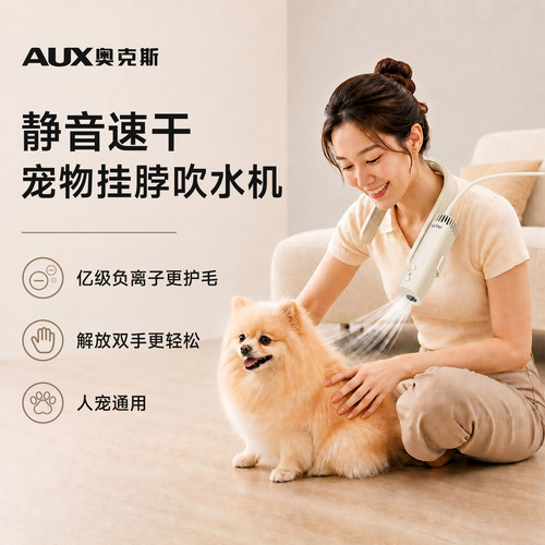 【大功率型】奥克斯宠物吹水机