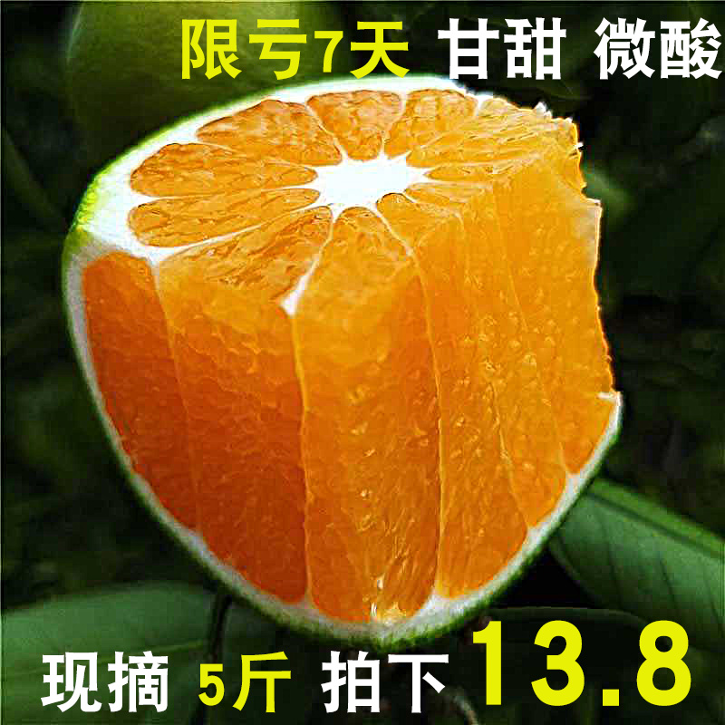 ÐÂÏÊÇÀ¹º