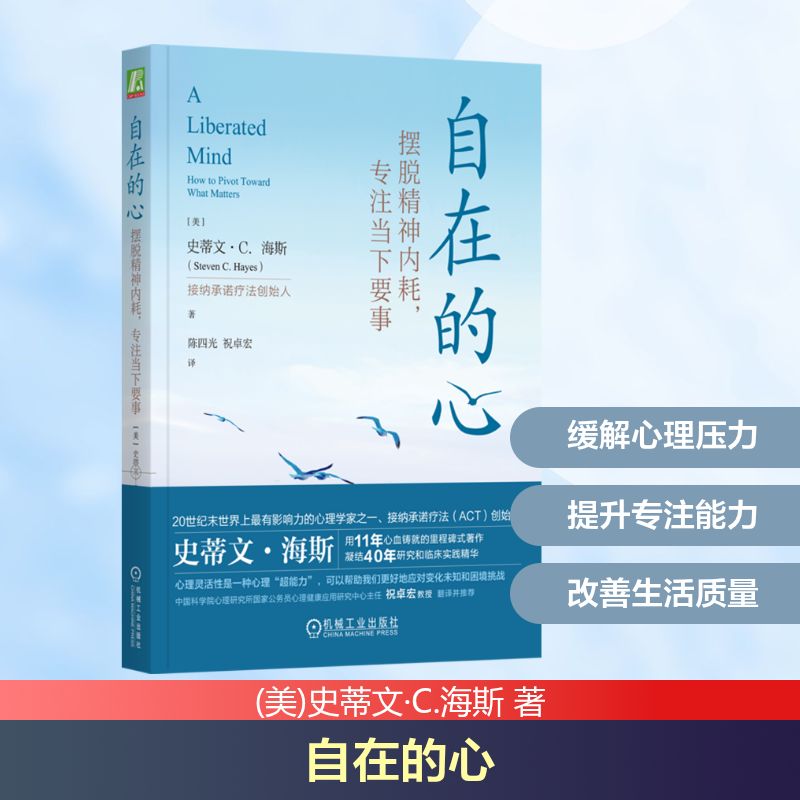 自在的心 摆脱精神内耗,专注当下要事