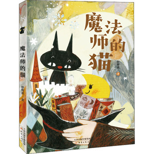 著 舒辉波 儿童文学 少儿 社 魔法师 新蕾出版 猫