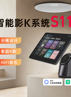 向往5.1家庭影院音响套装背景音乐主机影音系统吸顶音响