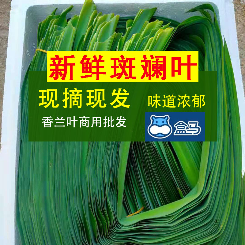 新鲜斑斓叶食用香兰叶商用蛋糕烘焙甜品千层糍叶包鸡