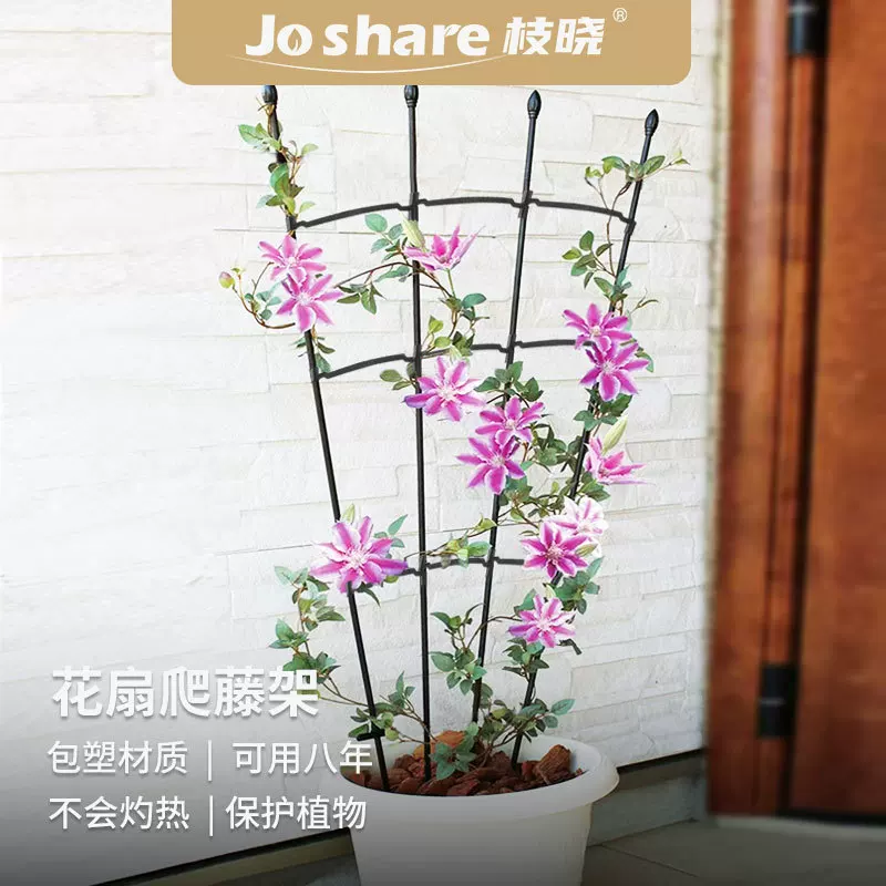 枝晓花扇种植架爬藤月季风车茉莉爬藤架支架花盆架子包塑架子
