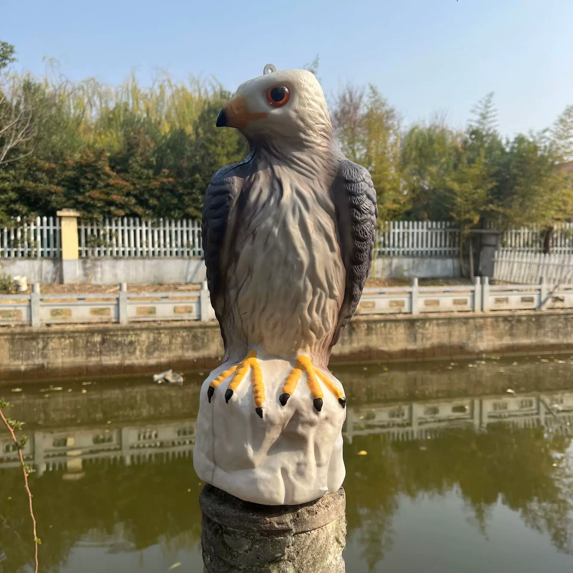 塑料仿真老鹰驱赶吓鸟神器花园庭院驅趕麻雀打猎诱饵可供跨境