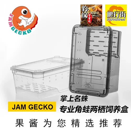 角蛙专用饲养盒两栖饲养箱守宫睫角蜘蛛昆虫龟玩家蛇防逃逸饲养盒