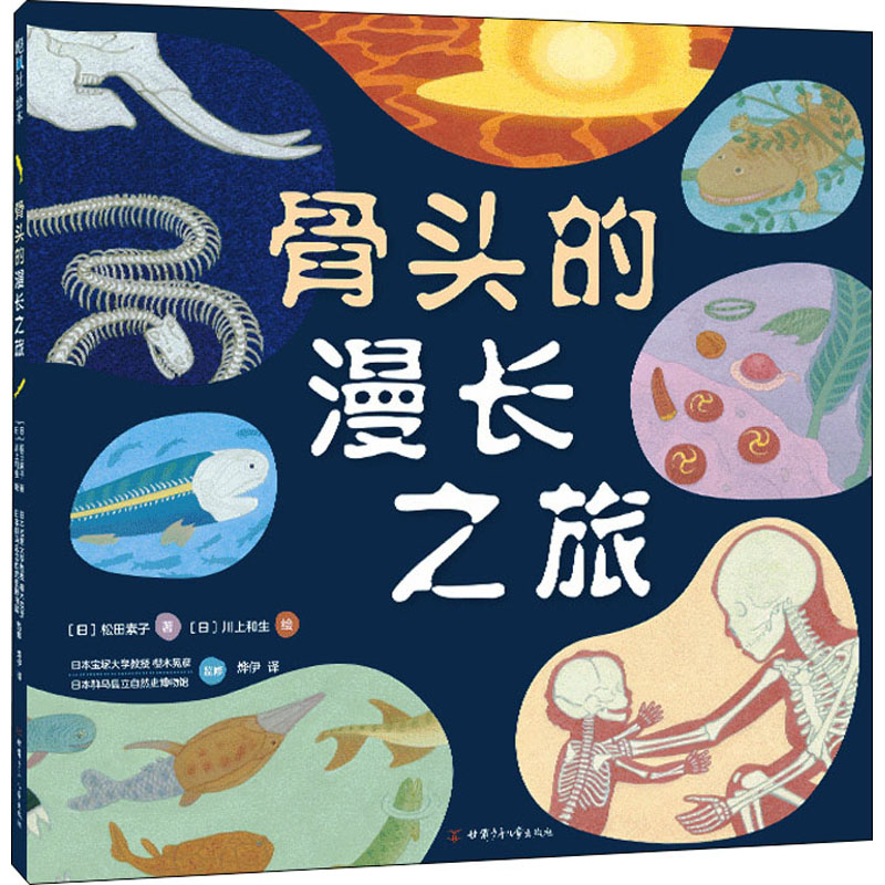 骨头的漫长之旅(日)松田素子著烨伊译(日)川上和生绘绘本少儿甘肃少年儿童出版社正版图书