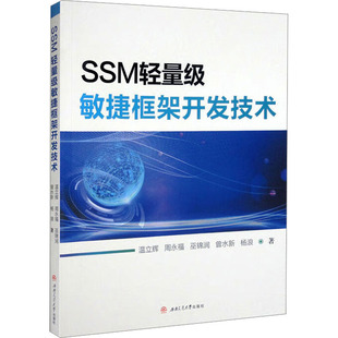 温立辉 正版 著 图书 编程语言 西南交通大学出版 专业科技 SSM轻量级敏捷框架开发技术 9787564388522 社 等