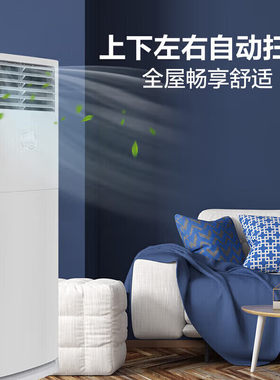 格力2匹变频强劲制冷立式空调