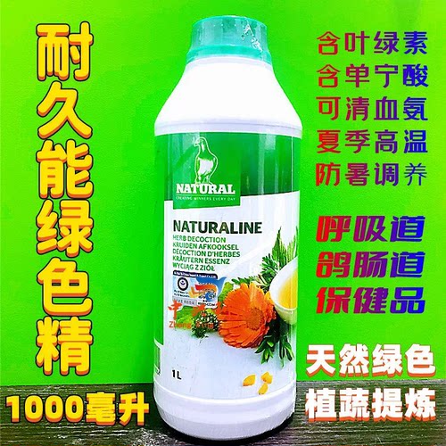 夏季赛鸽去火耐久能信鸽