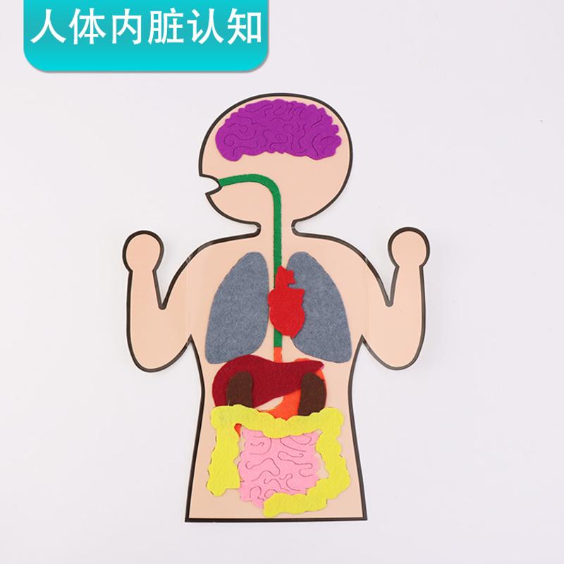 人体消化器官拼图 认识内脏手工DIY材料包小学生幼儿园肠胃不织布