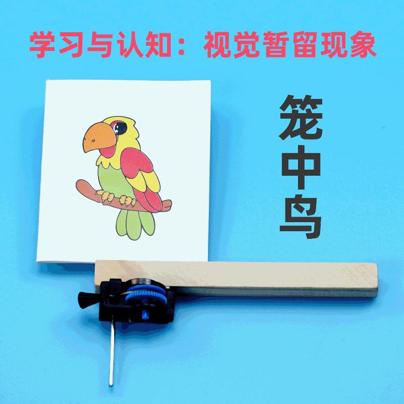 diy笼中鸟科学实验幼儿手工自制发明科技小制作材料SETM教育玩具