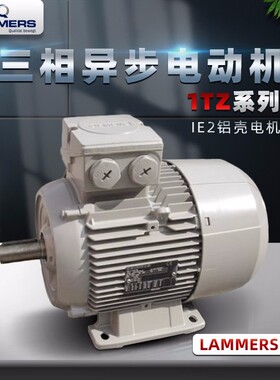德国拉莫斯电机 LAMMERS三相异步电动机  1TZ9001系列1TZ9002系列