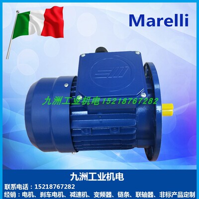 意大利marellimotor刹车马达