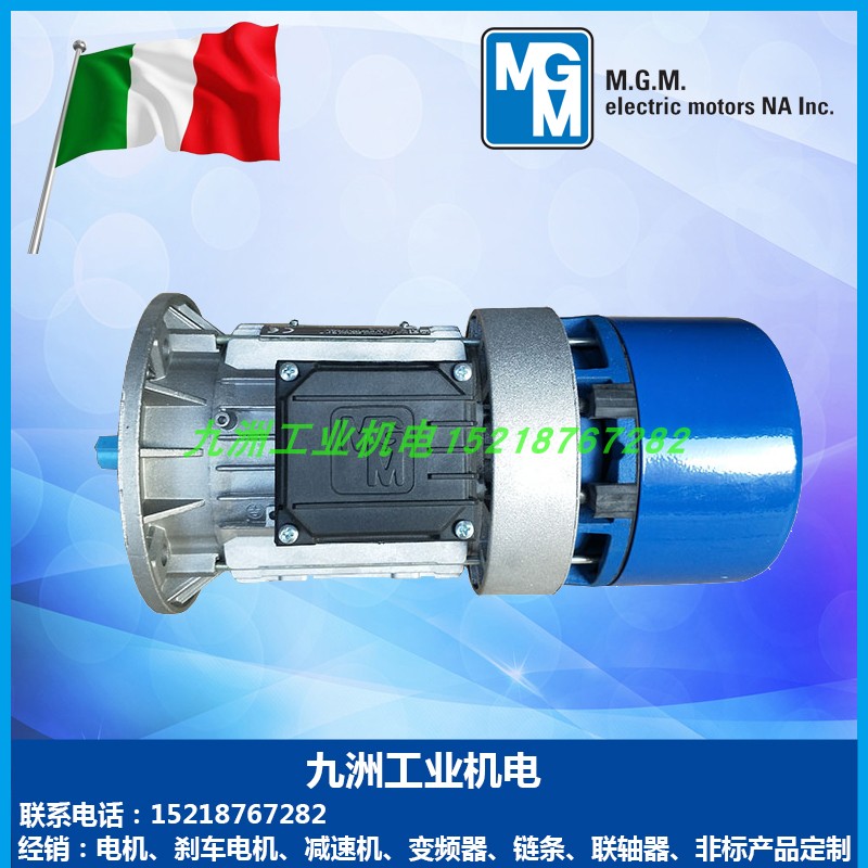 意大利mgm刹车电机BA7180B4