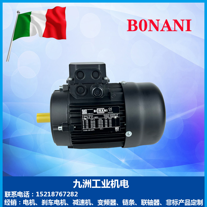 意大利BONANI电机TR63B47180