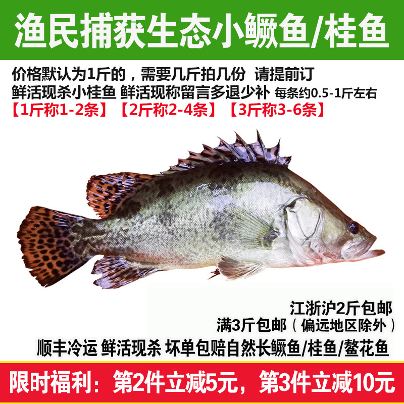 淡水鱼新鲜活鱼现杀桂鱼鳜鱼正宗大小桂花鱼鳌花鱼季花鱼500g水产,水产肉类/新鲜蔬果/熟食,淡水鱼类,淘宝优惠券,粉丝福利购,淘宝优惠卷