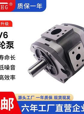 IPV6/IPVP6/IPV7/IPVP7-64/80/125/200-101/111大排量液压齿轮泵