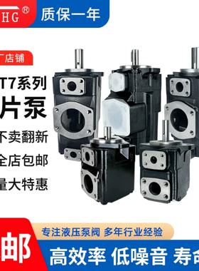 派克丹尼逊叶片泵T6C/D/E/CC/DC/DD/EC/EE双联液压油泵Denison