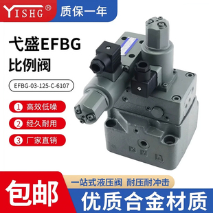 51比例阀EFBG 20T 125 电液溢流阀EFBG 160