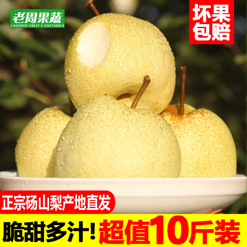 现摘砀山梨烤梨专用脆甜多汁