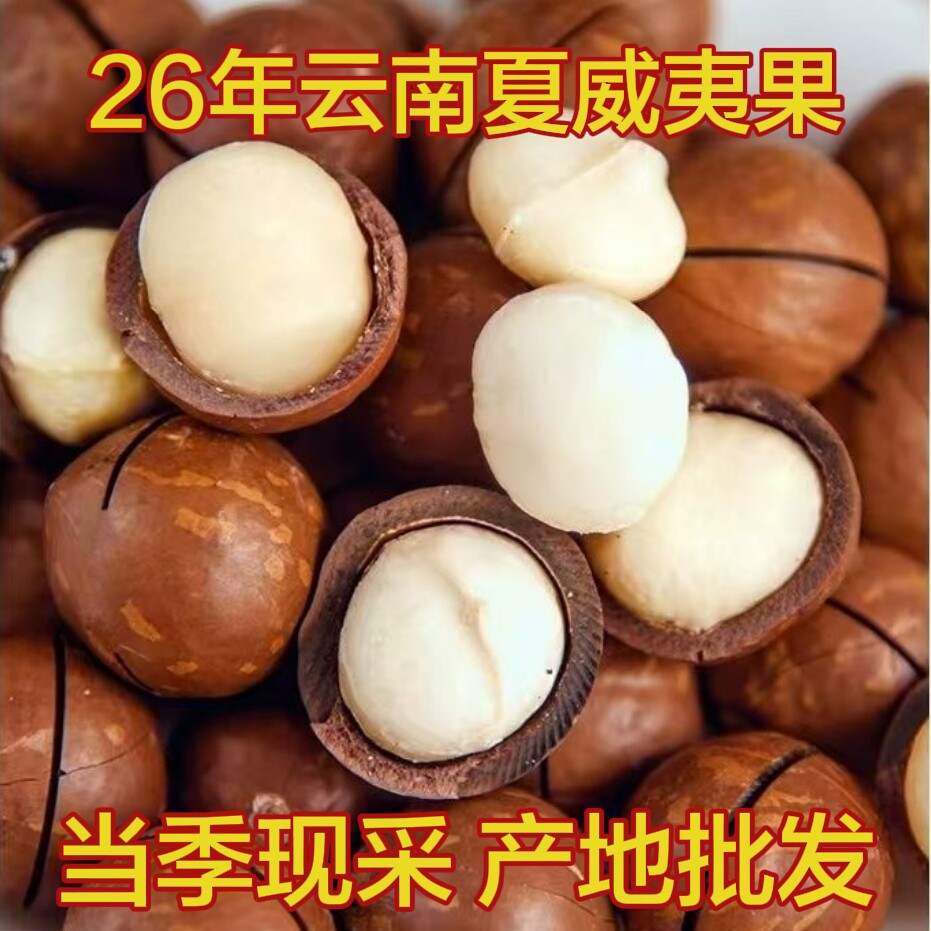 26年新货夏威夷果特大奶香整箱新货坚果零食每日坚送开口器