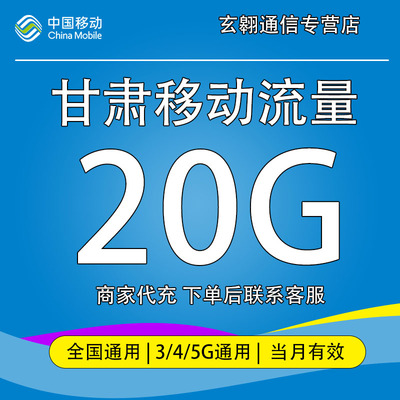甘肃移动流量充值20G中国移动流量加油包全国通用流量当月有效