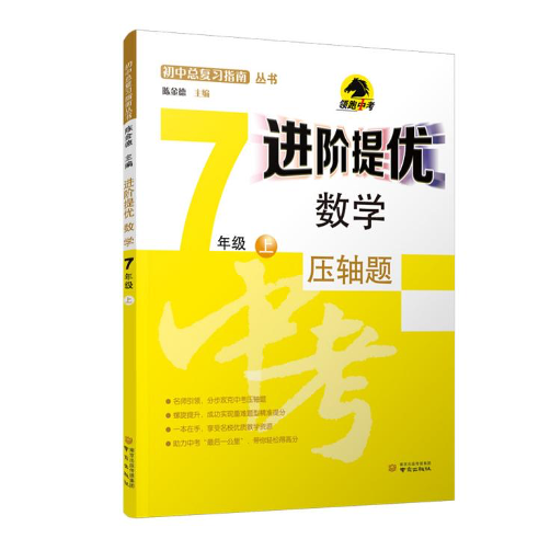 进阶提优 数学 七年级 八年级 九年级 压轴题 初中总复习指南丛书 陈金德