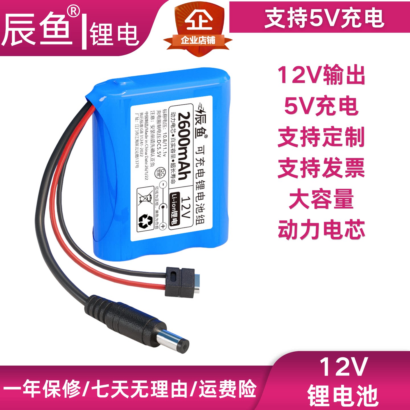 12V锂电池智能小车LED灯喷雾洗车机音响5V可充电12V电池便携式