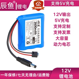 12V锂电池智能小车LED灯喷雾洗车机音响5V可充电12V电池便携式