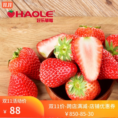 summer strawberry Empress Yunnan Plantation Supplying fresh fruit Cold Chain 3 Dandong Shuangliuin the Aquatic meat/Fresh fruits and vegetables/Cooked , Fresh fruit , Strawberries  category - from Buy2taobao.com to provide professional Taobao agent buy service