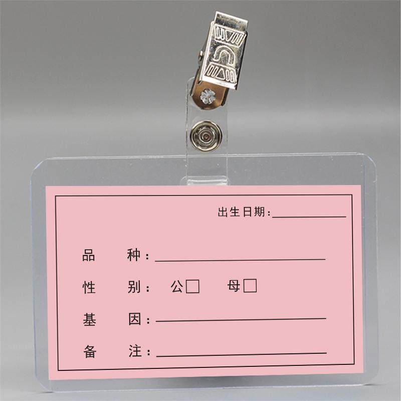 带夹子塑料横式工作证透明胸牌