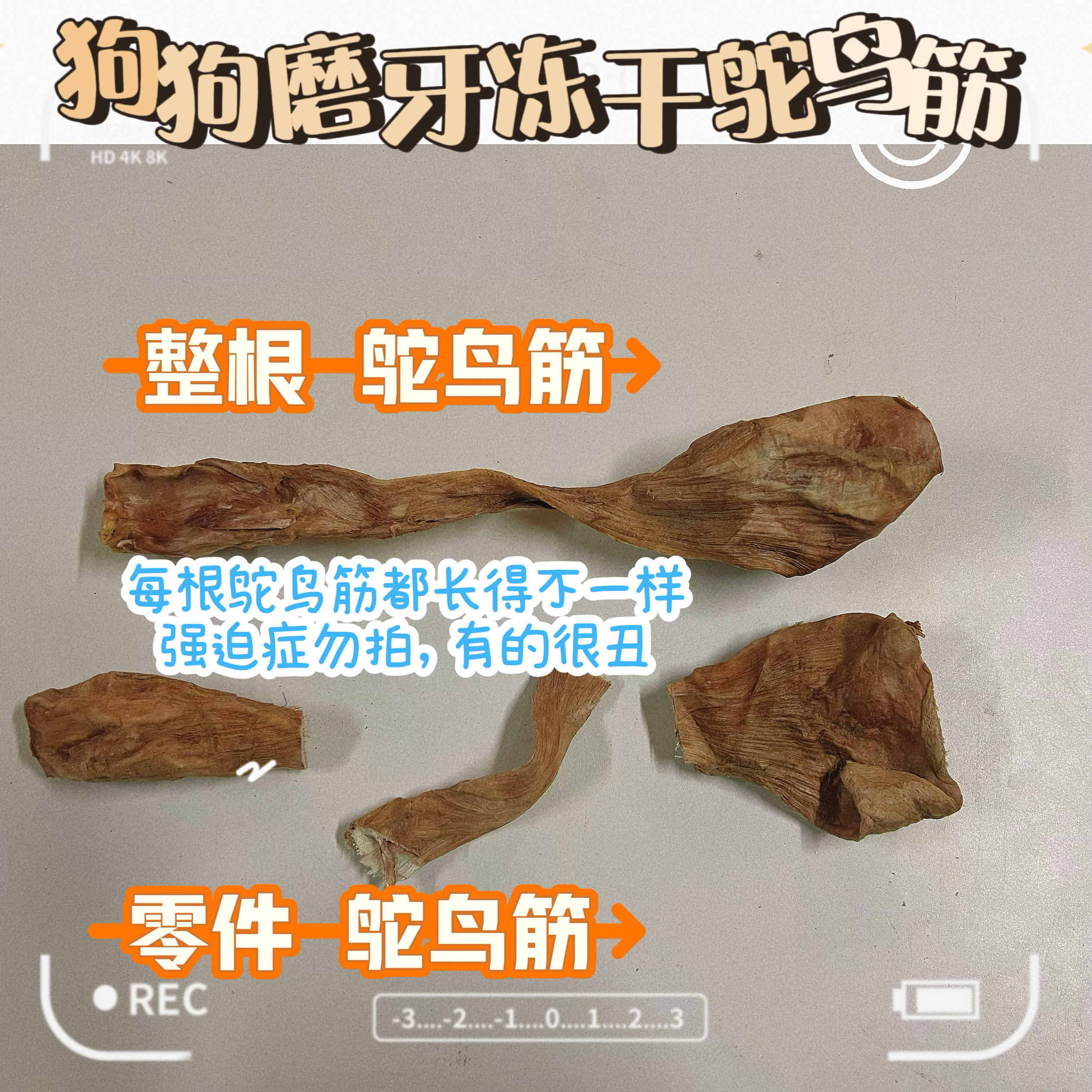 狗狗磨牙鸵鸟筋冻干,宠物/宠物食品及用品,狗冻干零食,淘宝优惠券,粉丝福利购,淘宝优惠卷
