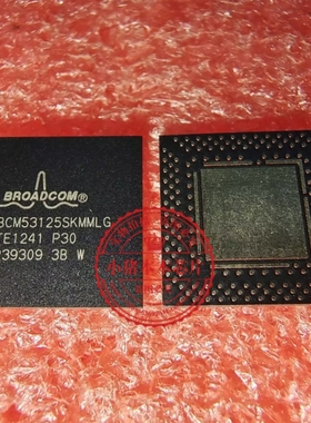 BCM53125SKMMLG P20 QFN-186 集成电路芯片 IC