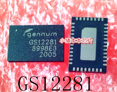 GS12281-INE3  GS12281-INTE3   GS12281  QFN40  新的  一个起售