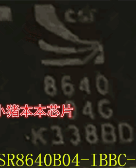 CSR8640B04-IBBC-R  丝印:8640 B04G 8640B04G BGA封装 新的