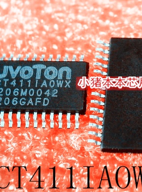 NPCT411IAOWX  NPCT4111AOWX  NPCT411IA0WX TSSOP28 新的 可直拍