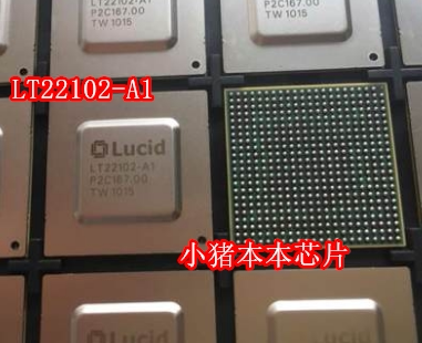 小猪本本LT22102-A1新的