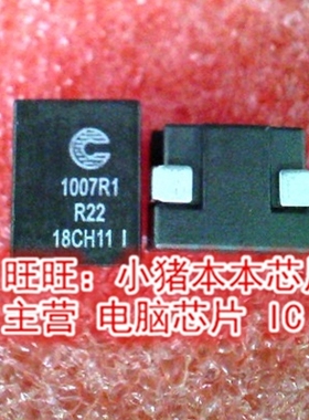 100R1-R22 FP1007R1-R22-R SMD新的 一个起售