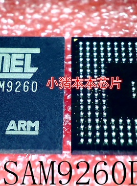 AT91SAM9260B-CU   AT91SAM9260-CU   AT91SAM9260   BGA  新的