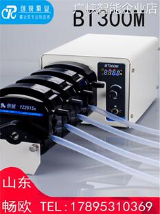 *保定创锐BT300M旋钮数5x/YZ2515x泵头硅胶管显蠕动泵恒流泵YZ151