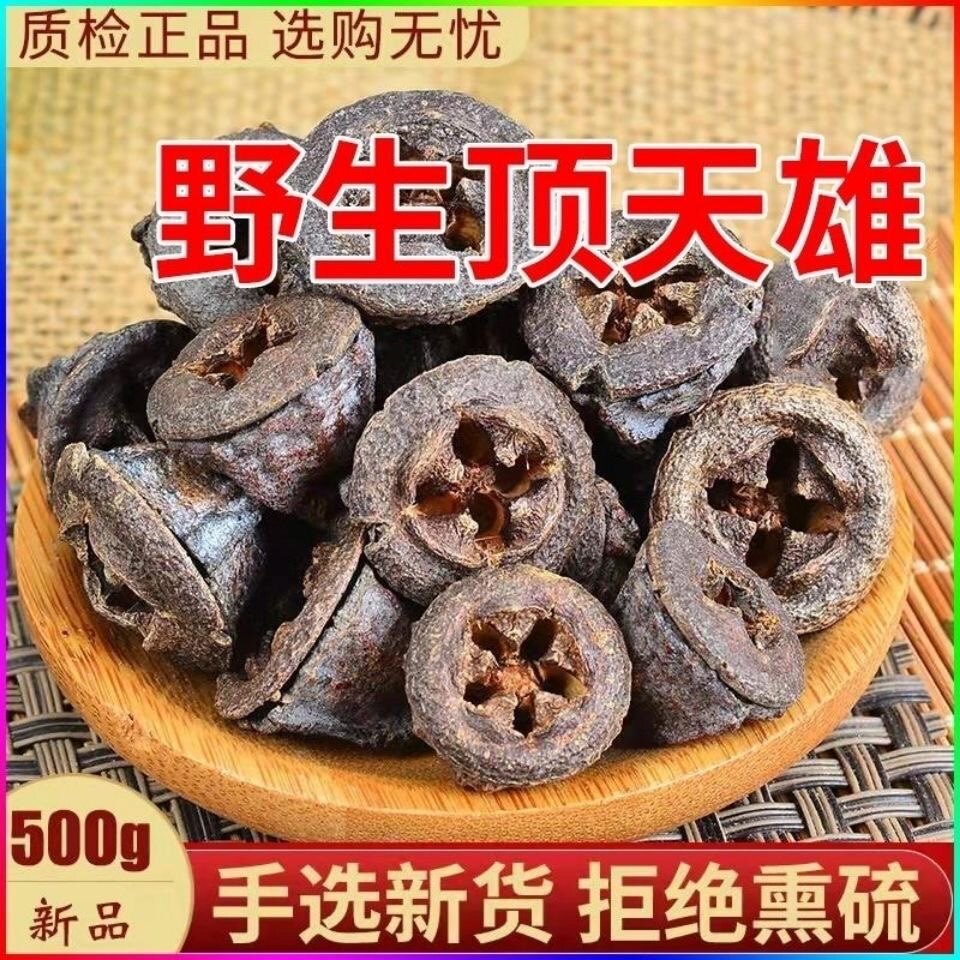 【野生顶天雄】正品云南顶天雄苗药可搭配一见起顶天柱泡酒泡水