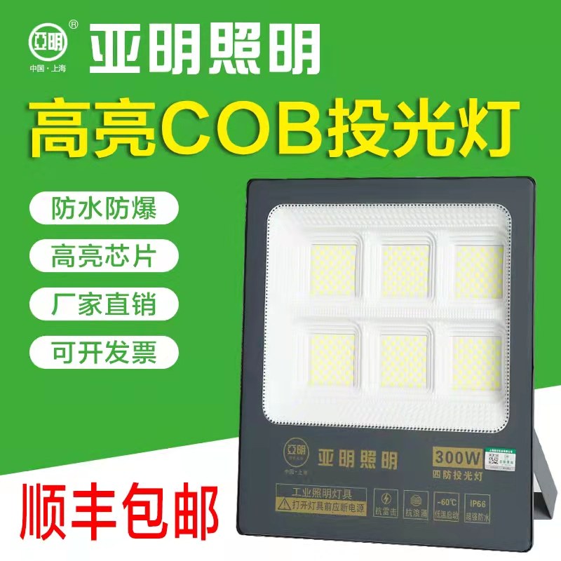上海亚明led投光灯50w100w200w户外防水超亮泛光灯射灯仓库照明灯,家装灯饰光源,其它灯具灯饰,淘宝优惠券,粉丝福利购,淘宝优惠卷