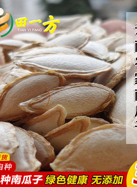 哀牢山农家自种老品种生南瓜子原味熟生毛边南瓜老南瓜子精选3斤