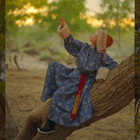 The original design of the Liaoning robe with bird pattern cross-collar is available for both men and women thumbnail 5