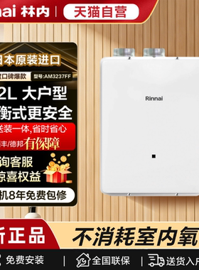 林内平衡式别墅级大水量热水器